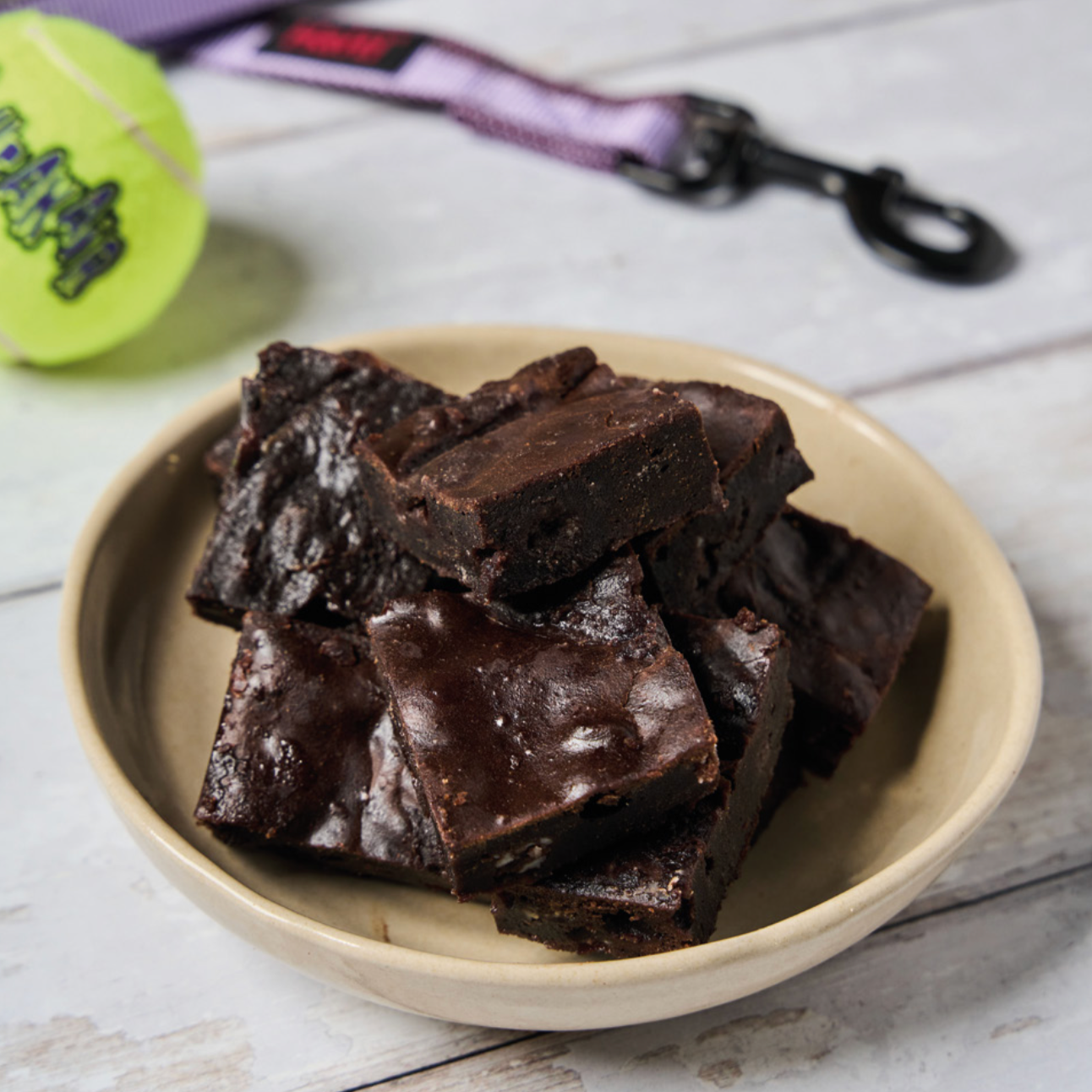 Pampered Pups Doggy Recipes - Digital Download